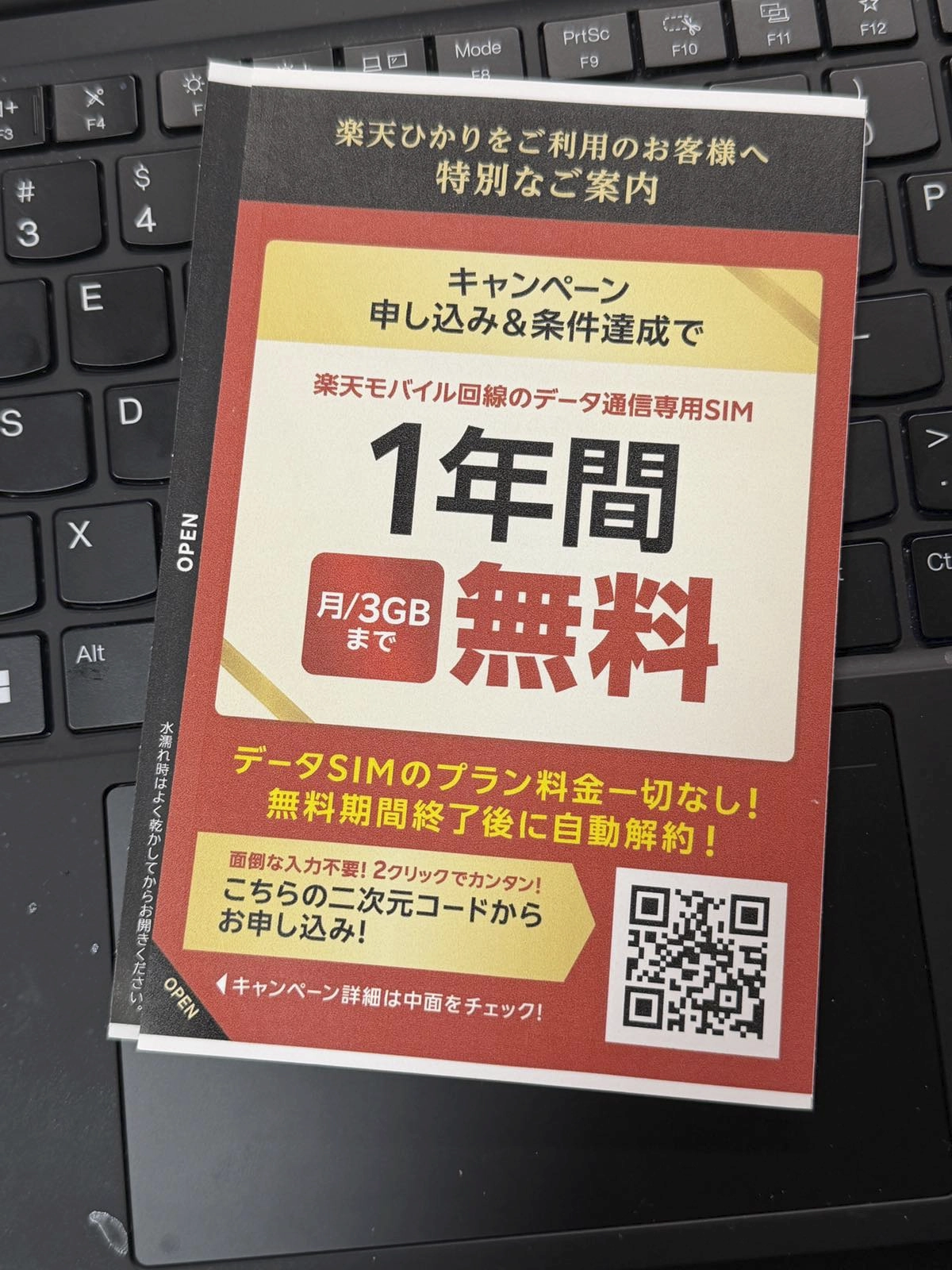 楽天ひかり データSIM 1年間無料を告知する特別案内チラシ(申込&条件達成、QR、月3GB・自動解約)